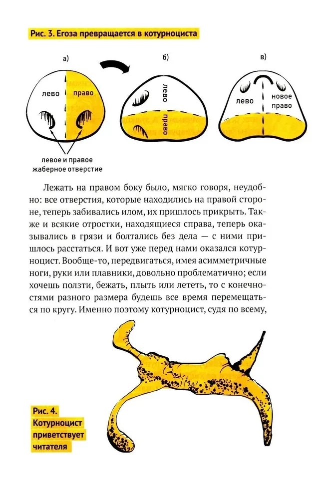 The Left Book. Adventures in a Left-Handed World