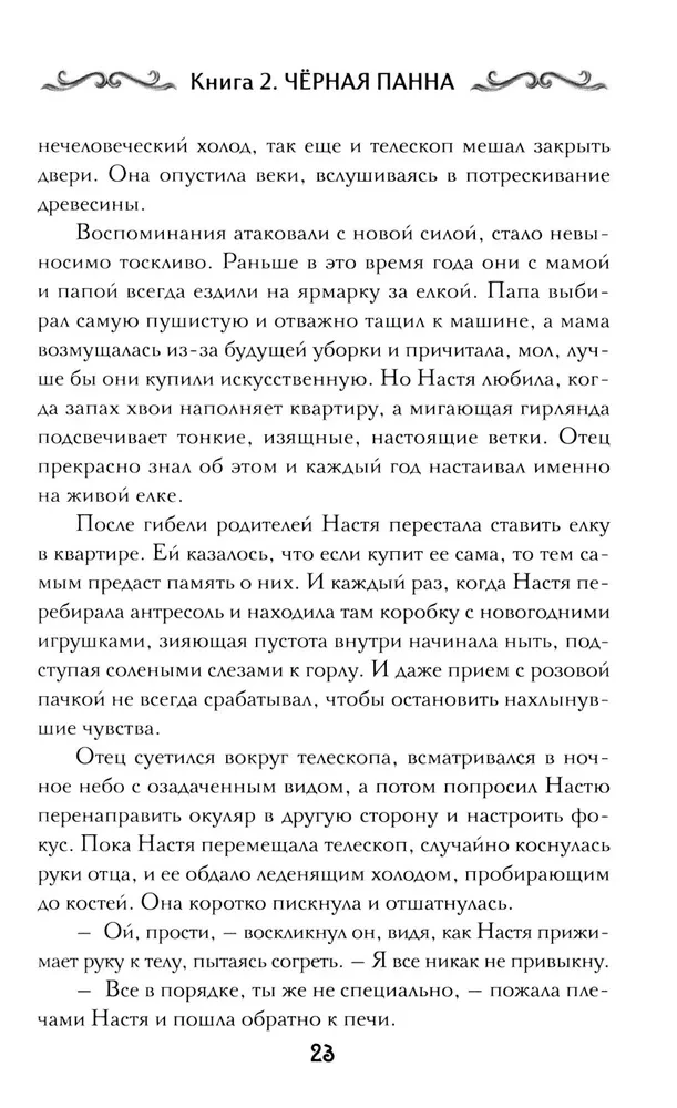 Agent Geist. Buch 2. Schwarze Panna