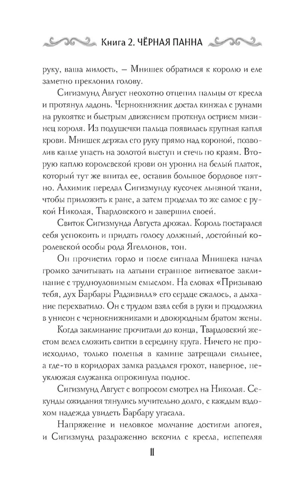 Agent Geist. Buch 2. Schwarze Panna