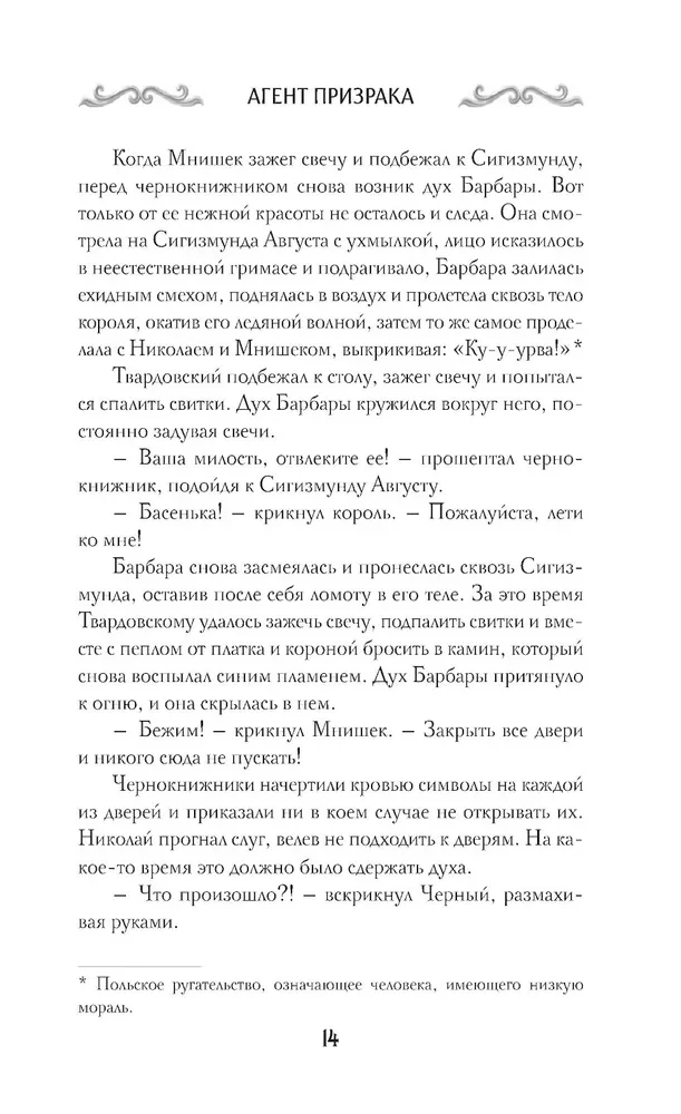 Agent Geist. Buch 2. Schwarze Panna