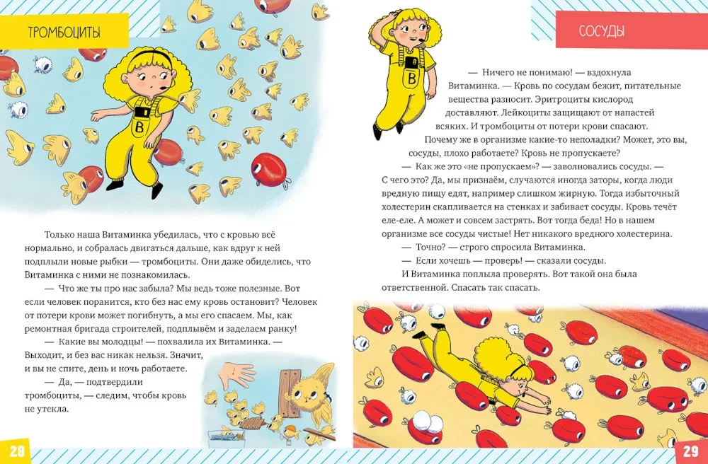 Prezent dla ciekawego świata. Ciało człowieka