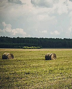 Dolce vita. Über die Liebe zu Desserts