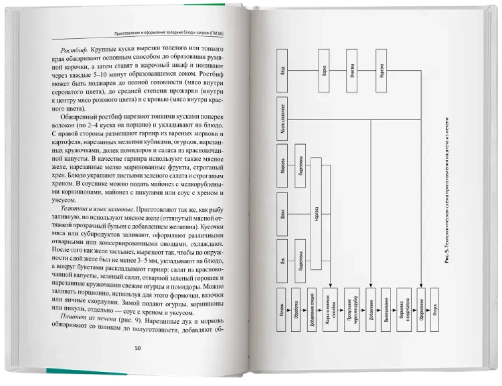 Preparation and Decoration of Cold Dishes and Appetizers. Study Guide