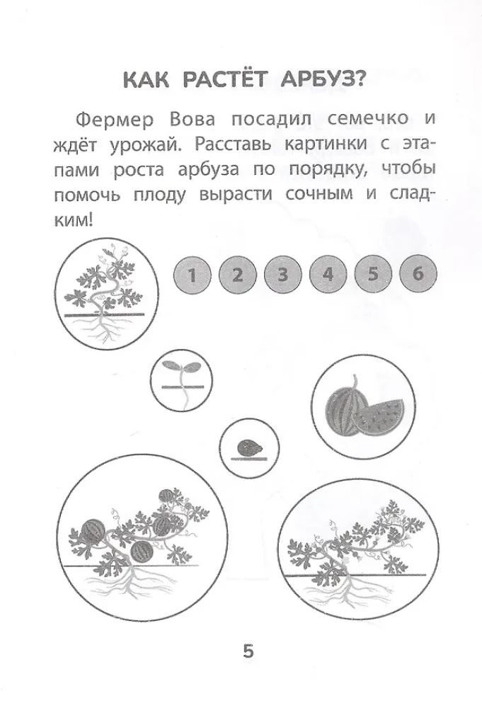 Hide and Seek with Nature. Preparing for School