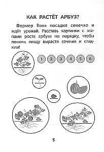 Hide and Seek with Nature. Preparing for School