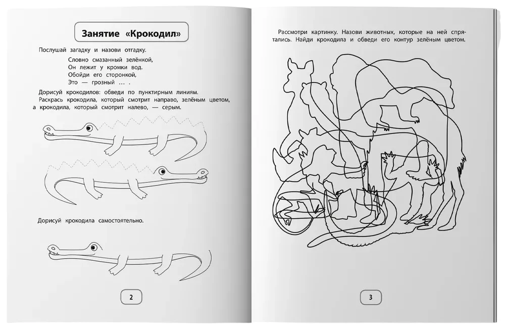 IQ-zagadki z zadaniami graficznymi