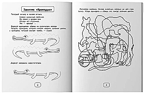 IQ-zagadki z zadaniami graficznymi