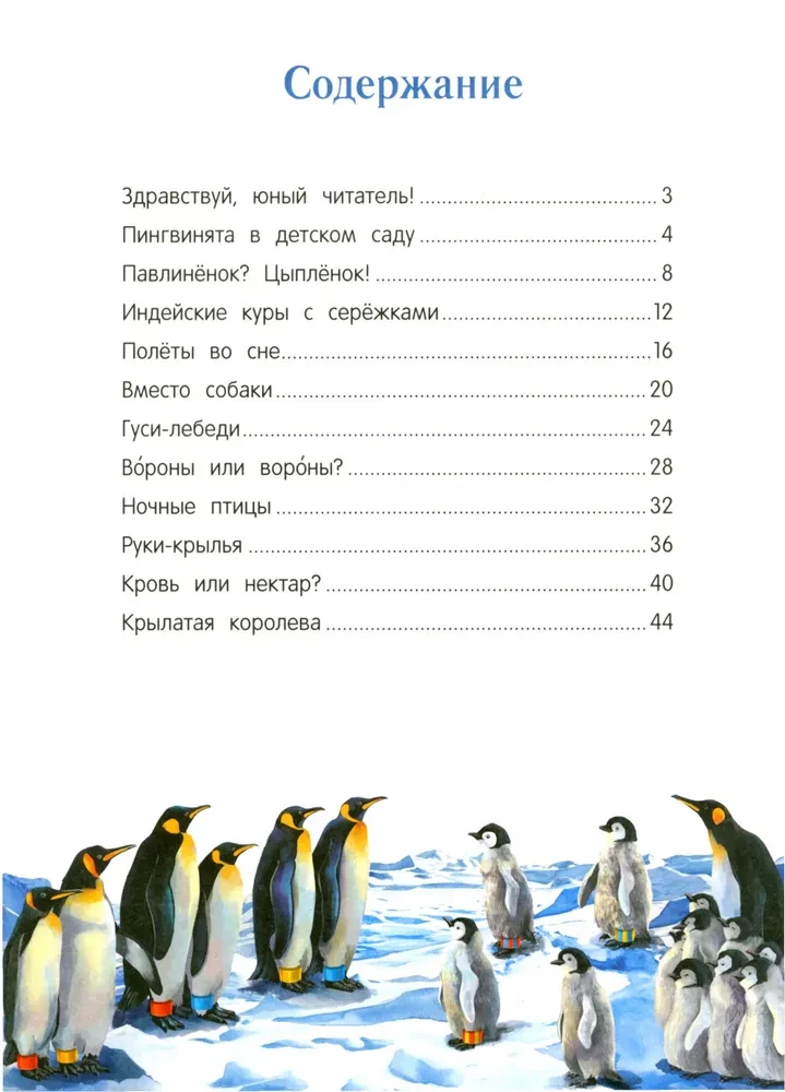 Peacock? Chick! Winged Families: Facts and Games