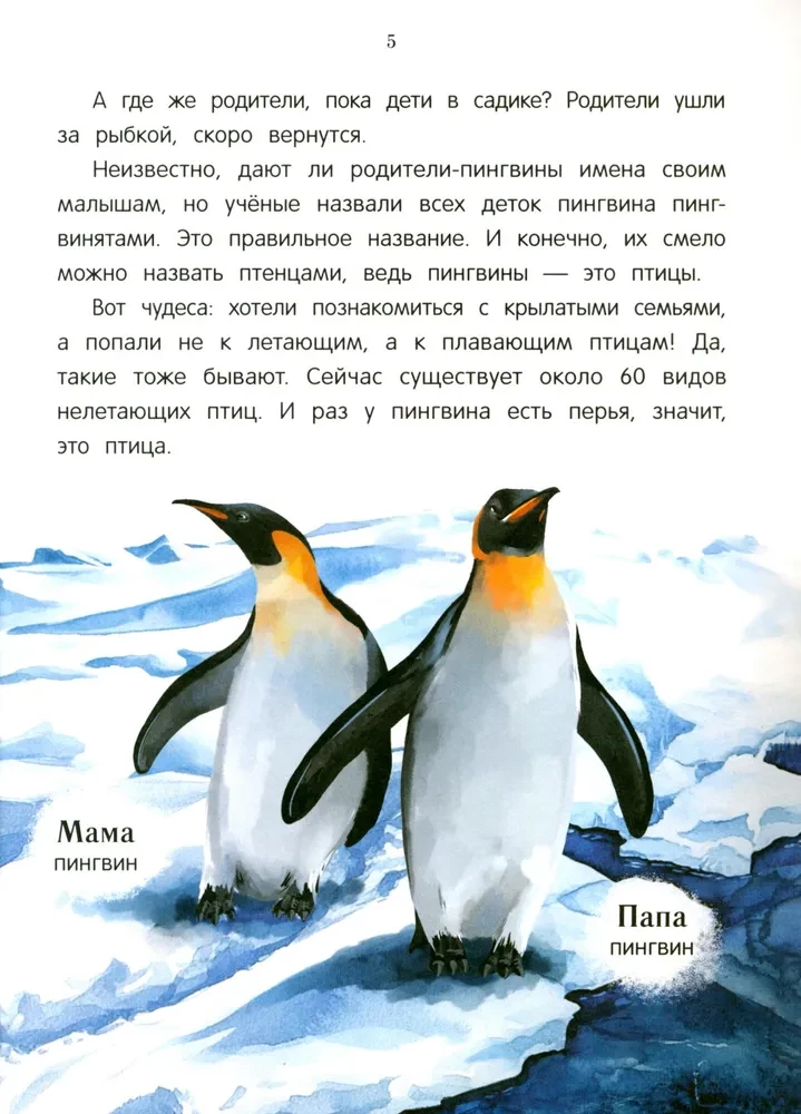 Peacock? Chick! Winged Families: Facts and Games