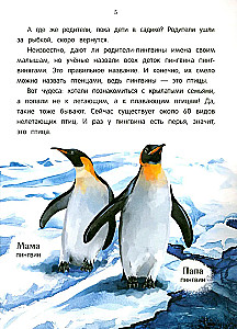 Peacock? Chick! Winged Families: Facts and Games