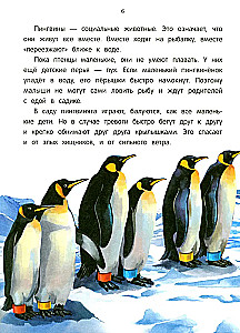 Peacock? Chick! Winged Families: Facts and Games