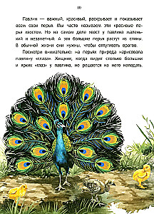 Peacock? Chick! Winged Families: Facts and Games