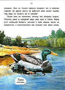 Peacock? Chick! Winged Families: Facts and Games