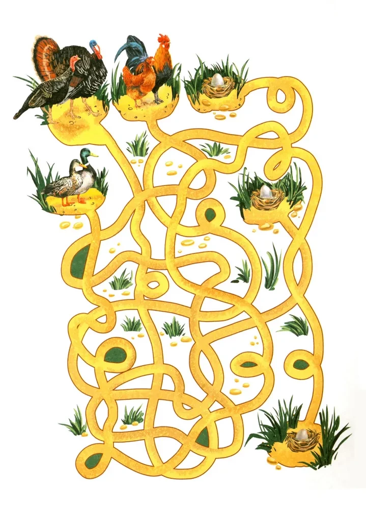 Peacock? Chick! Winged Families: Facts and Games