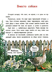 Peacock? Chick! Winged Families: Facts and Games