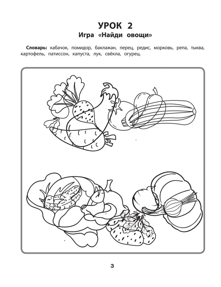 Tangled Pictures. Correction of Optical Dysgraphia: A Working Neuro-Notebook for Preschoolers