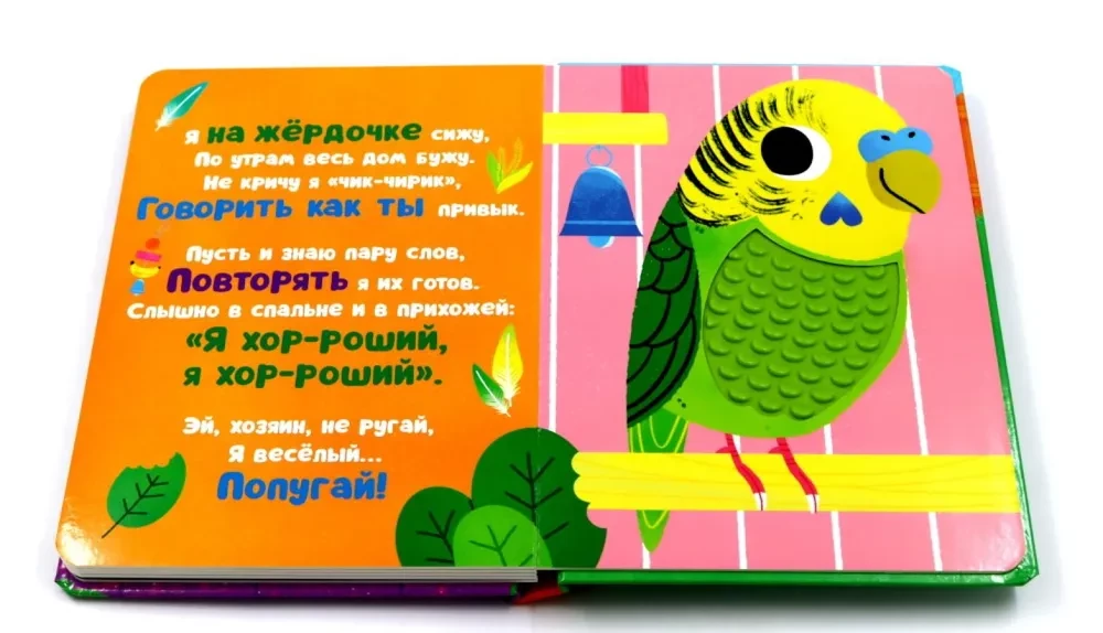 Lytiniai knygelės. Kas aš? Augintiniai