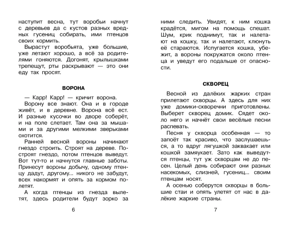 Fomka - the Polar Bear Cub. Stories