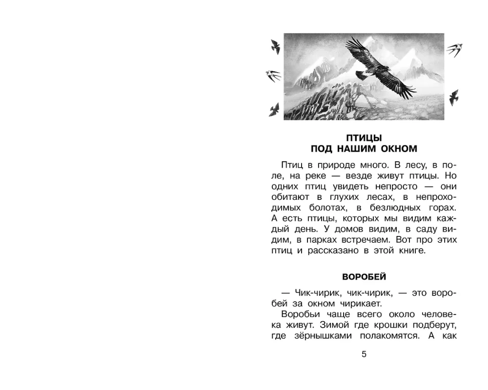 Fomka - the Polar Bear Cub. Stories