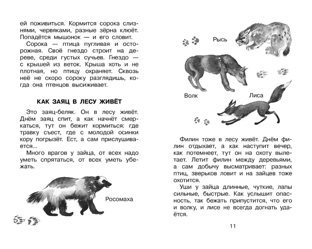 Fomka - the Polar Bear Cub. Stories