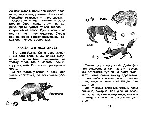 Fomka - the Polar Bear Cub. Stories