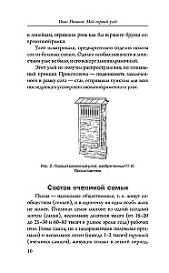 My First Hive. A Practical Guide for Beginning Beekeepers