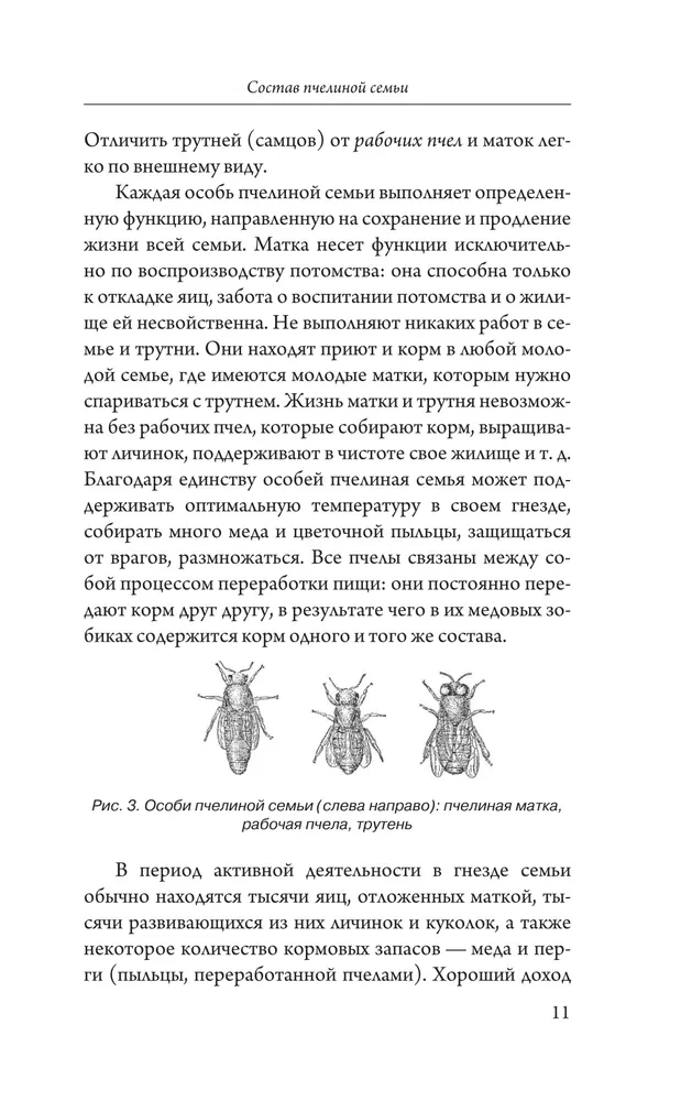 My First Hive. A Practical Guide for Beginning Beekeepers