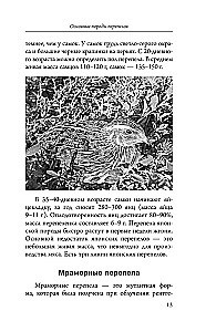 Domestic Quails. Breeding and Keeping in Home Conditions for Beginners