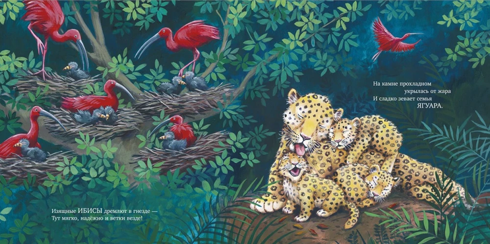 Sweet dreams, my baby!