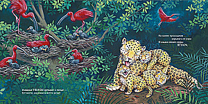 Sweet dreams, my baby!