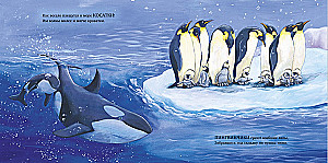 Sweet dreams, my baby!