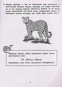Racionāla rakstīšana. Ortogrāfijas prasmju attīstība. 3. klase
