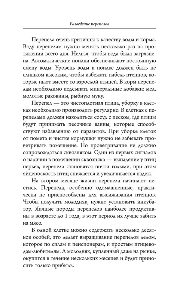 Quail Breeding for Beginners. A Guide to Keeping at Home