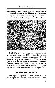 Quail Breeding for Beginners. A Guide to Keeping at Home