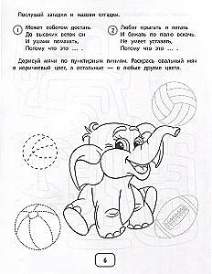 IQ-zagadki z zadaniami graficznymi