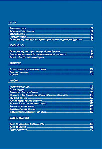 Korean Street Food. Eat What Your Favorite Idol Eats