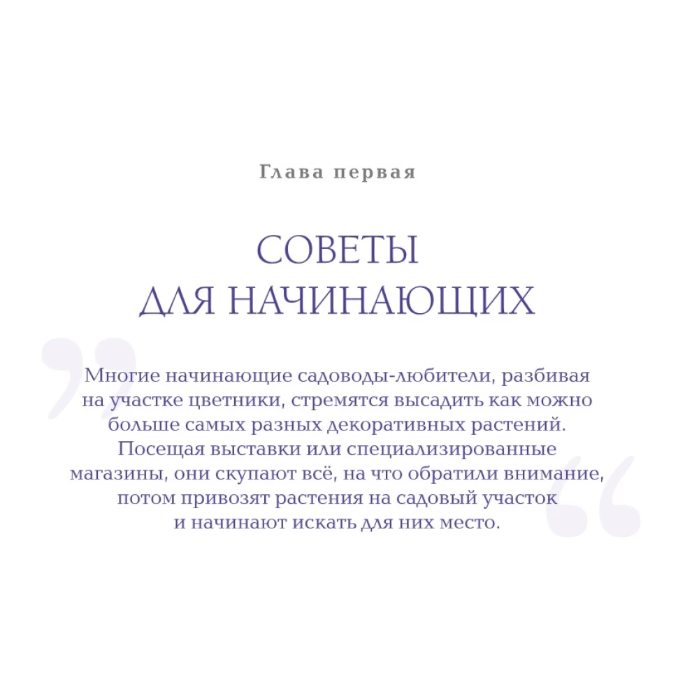 Inspiring Flower Beds. How to Create Harmonious Compositions That Are Easy to Care For