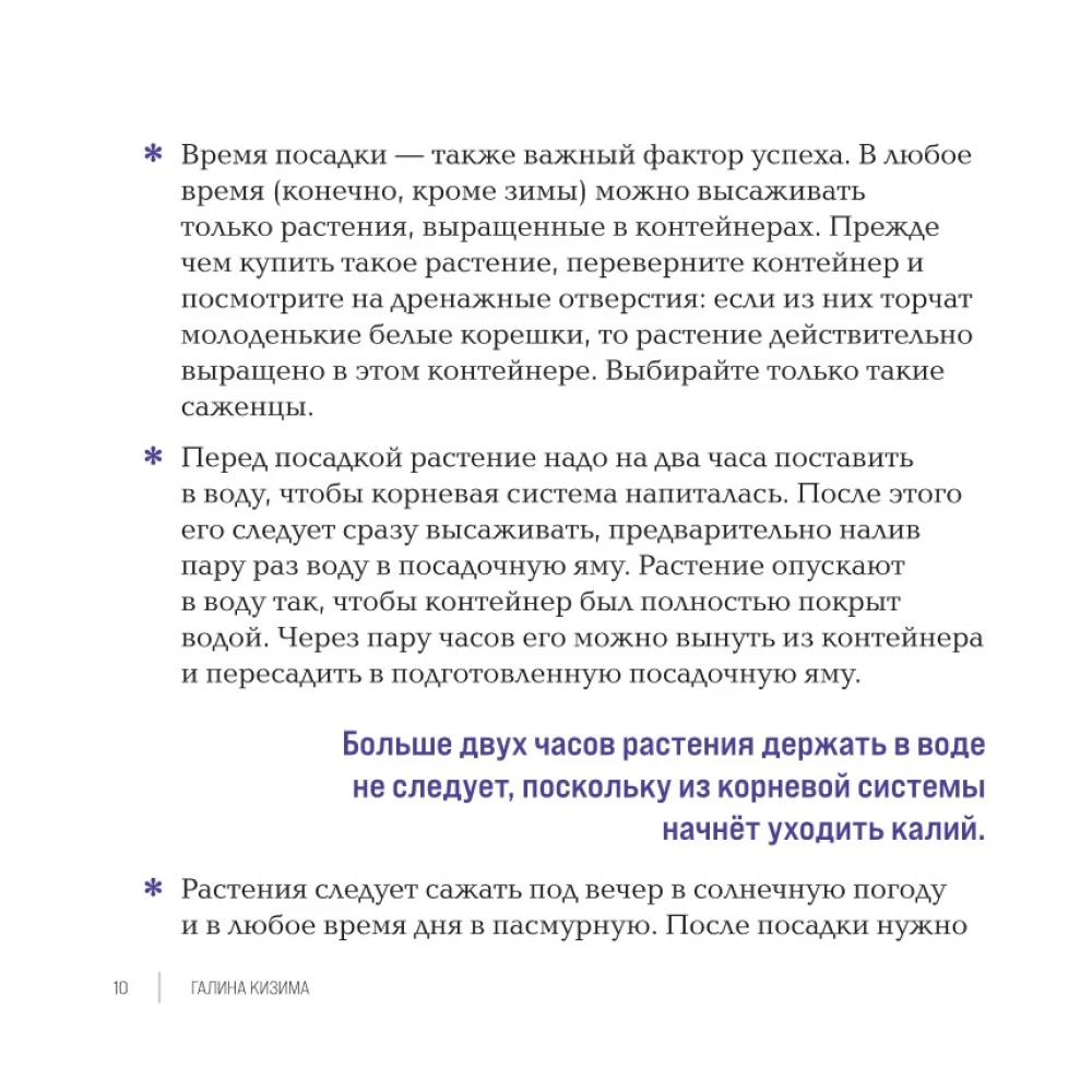 Inspiring Flower Beds. How to Create Harmonious Compositions That Are Easy to Care For