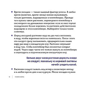 Inspiring Flower Beds. How to Create Harmonious Compositions That Are Easy to Care For