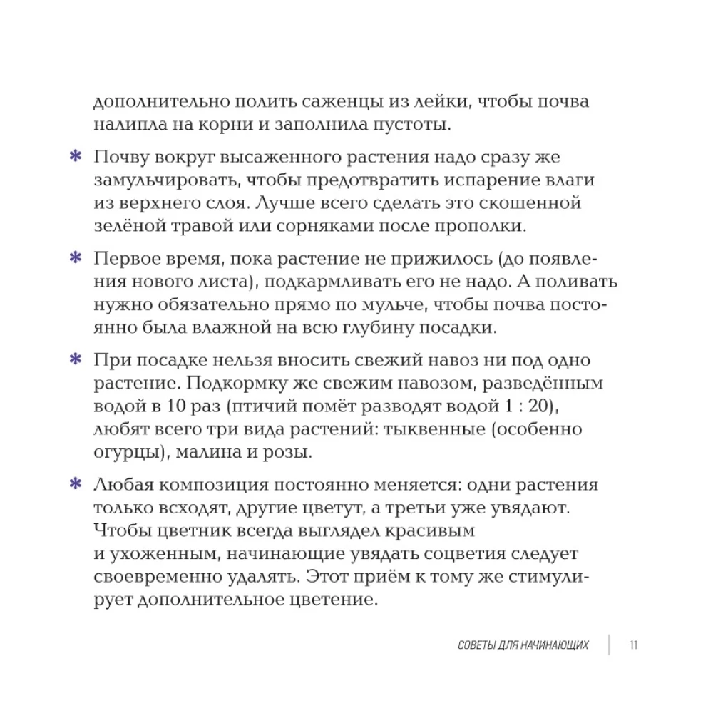 Inspiring Flower Beds. How to Create Harmonious Compositions That Are Easy to Care For