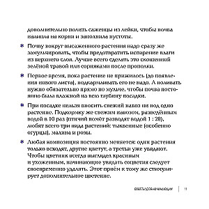 Inspiring Flower Beds. How to Create Harmonious Compositions That Are Easy to Care For