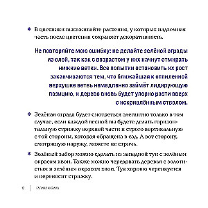 Inspiring Flower Beds. How to Create Harmonious Compositions That Are Easy to Care For