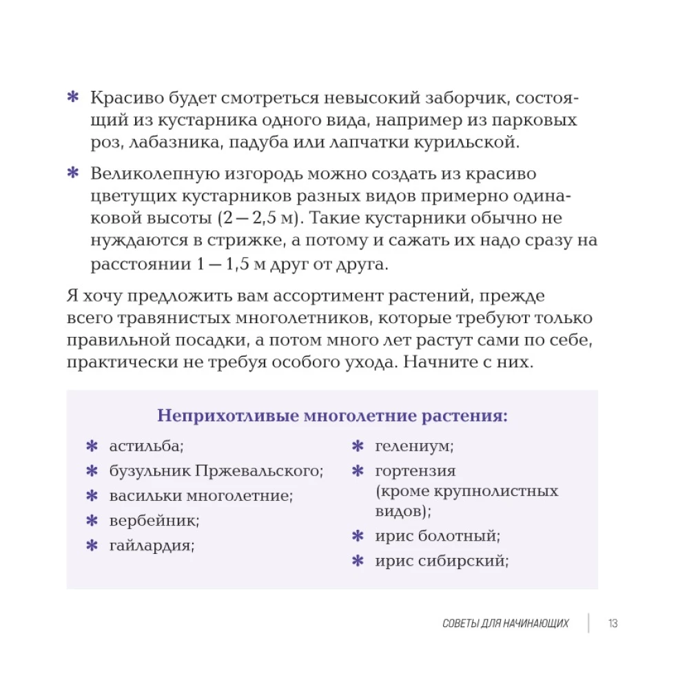 Inspiring Flower Beds. How to Create Harmonious Compositions That Are Easy to Care For