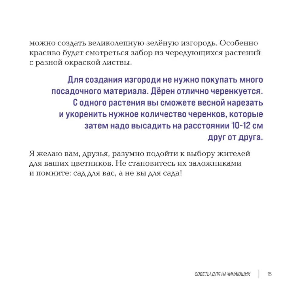 Inspiring Flower Beds. How to Create Harmonious Compositions That Are Easy to Care For