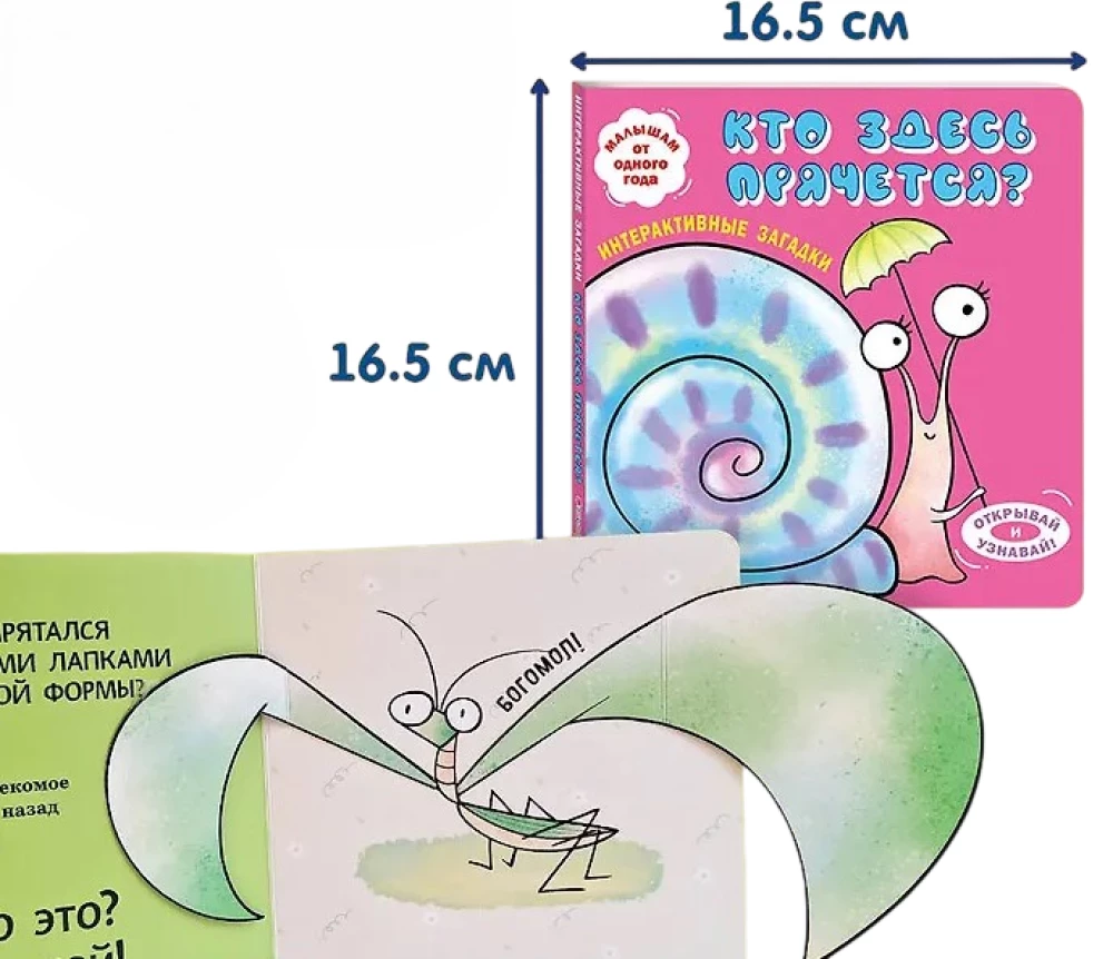 Interactive Riddles. Who is Hiding Here? (Snail)