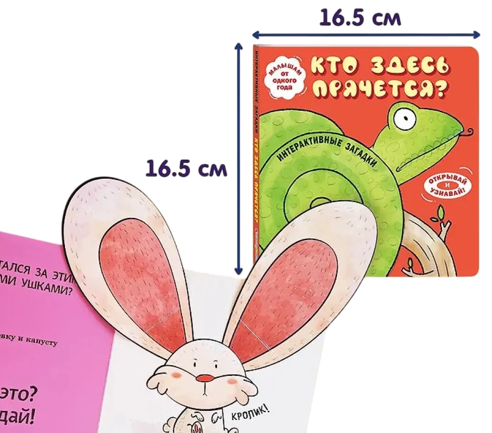 Interactive Riddles. Who's Hiding Here?