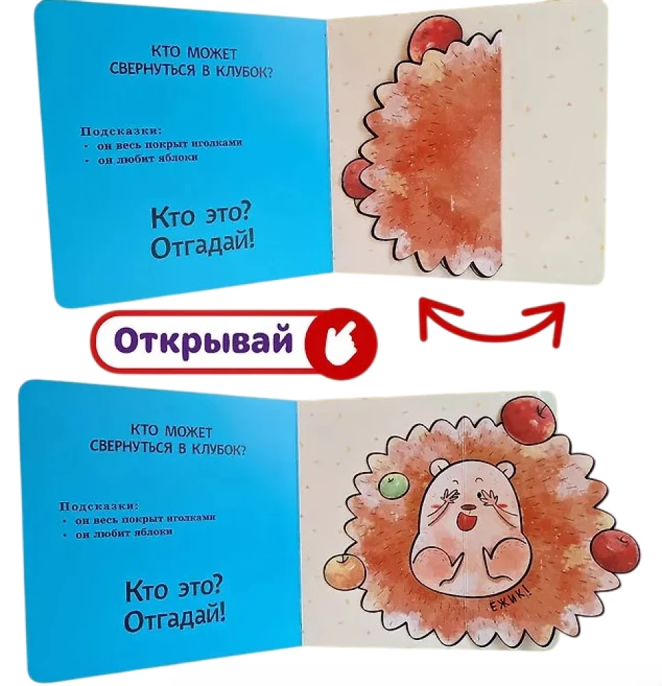 Interactive Riddles. Who's Hiding Here?