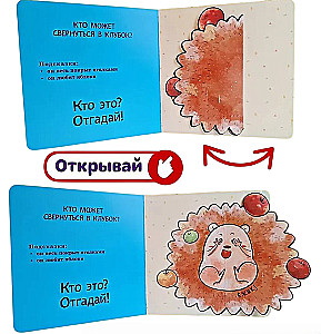 Interactive Riddles. Who's Hiding Here?