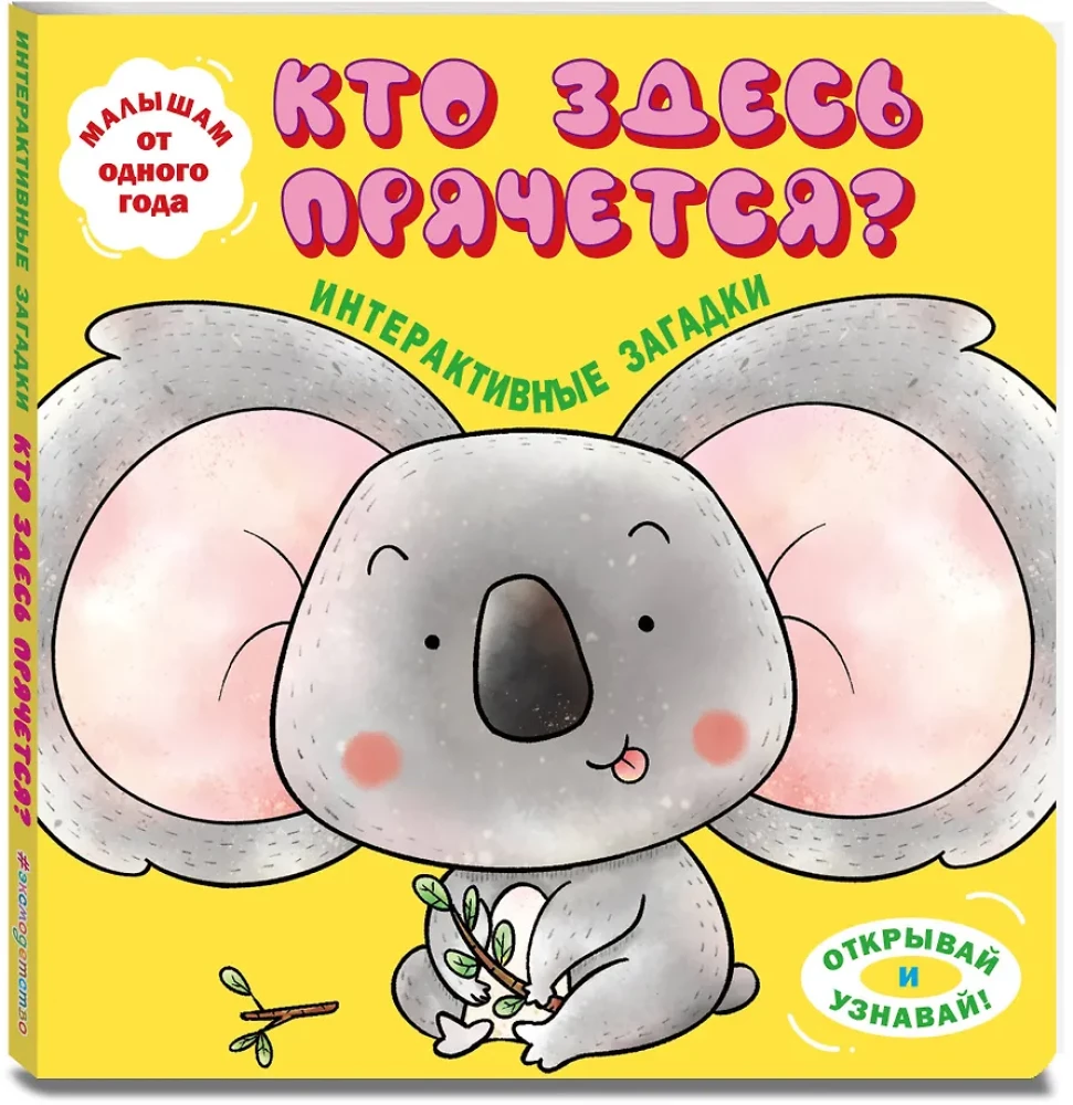 Interactive Riddles. Who Is Hiding Here? (koala)