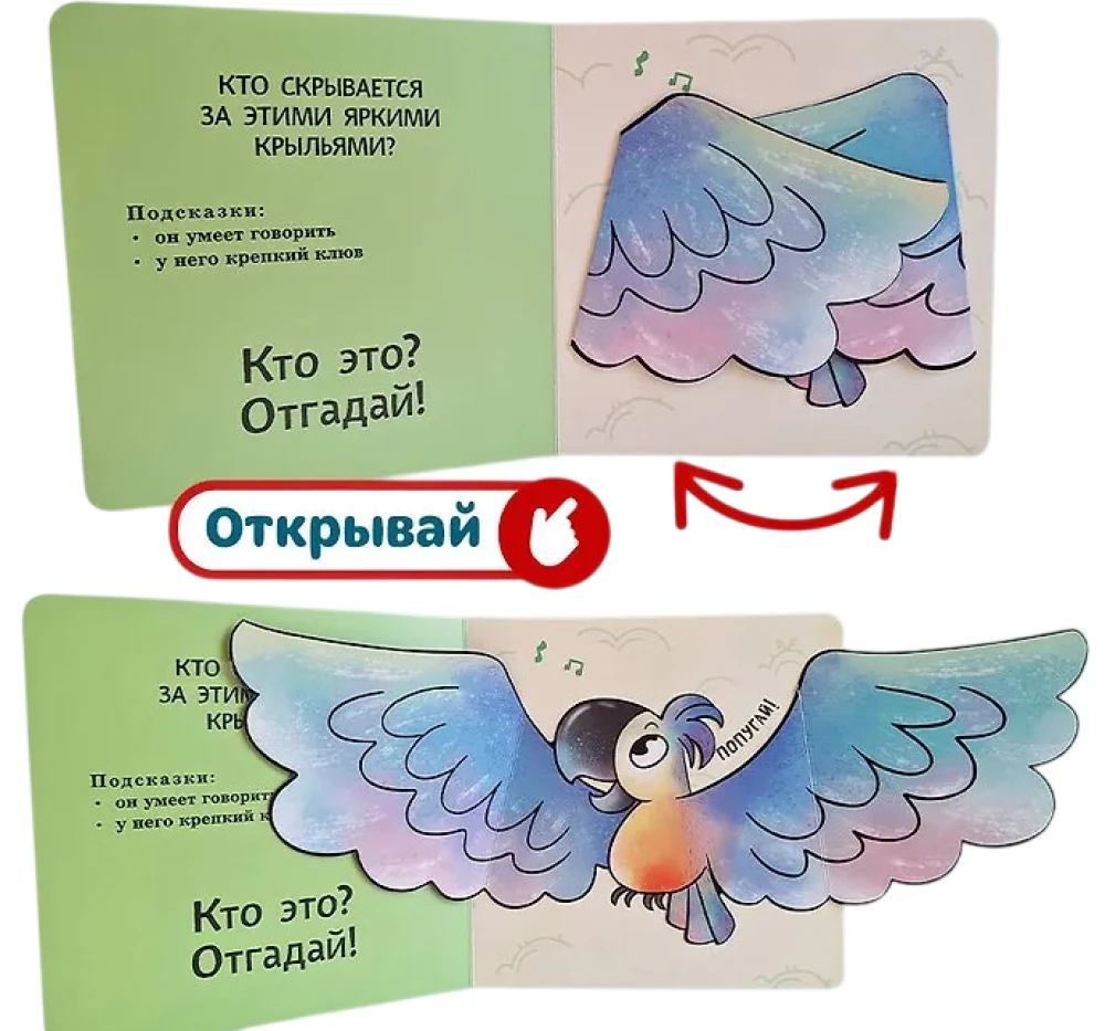 Interactive Riddles. Who Is Hiding Here? (koala)